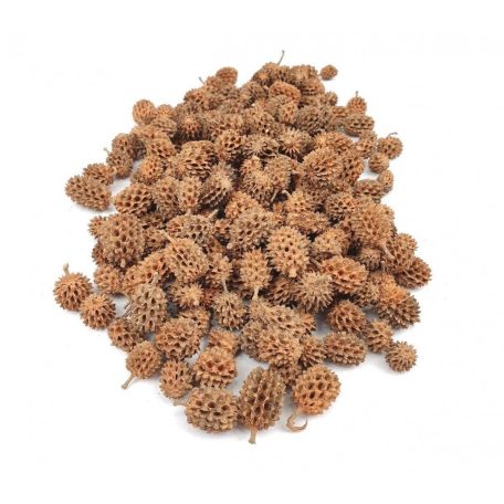 Casuarina falfestékes - Narancs - 17 dkg/csomag