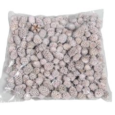   Casuarina falfestékes - Világos rózsaszín - 17 dkg/csomag 