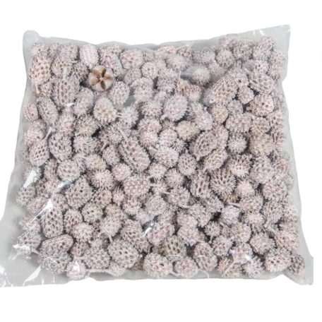 Casuarina falfestékes - Világos rózsaszín - 17 dkg/csomag 