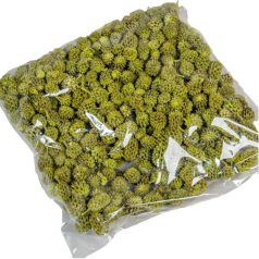 Casuarina termés - Olíva - 17 kg/csomag