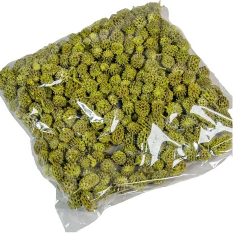 Casuarina termés - Olíva - 17 kg/csomag