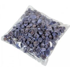 Casuarina falfestékes - Kék - 17 dkg/csomag 