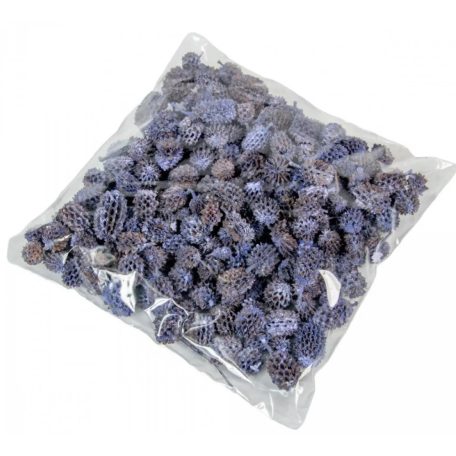 Casuarina falfestékes - Kék - 17 dkg/csomag 