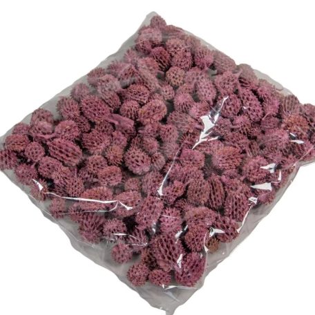 Casuarina falfestékes - Szeder - 17 dkg/csomag 