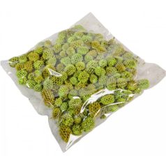 Casuarina termés - Halványzöld - 17 dkg/csomag 