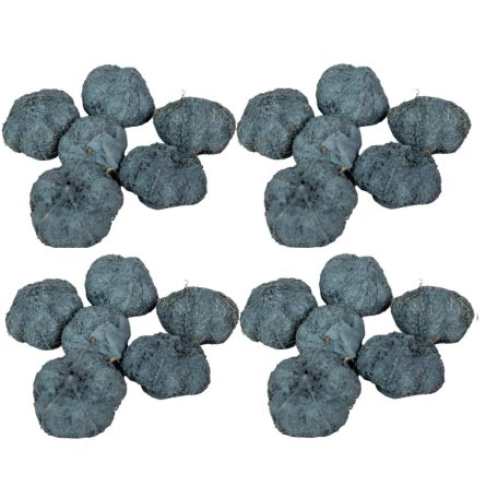 Fokhagyma termés - Acélkék - 10 dkg/csomag
