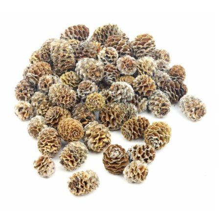 Meridianum termés - Natúr - 24 dkg/csomag