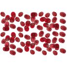  Meridianum termés - Piros - 16 dkg/csomag