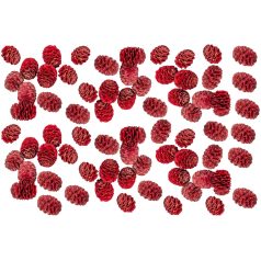  Meridianum termés - Piros - 16 dkg/csomag