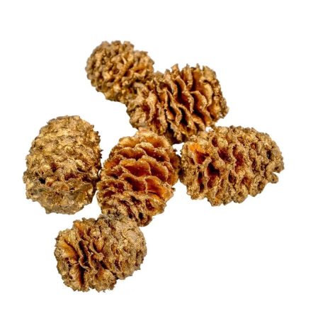 Meridianum termés - Pezsgő - 10 dkg/csomag