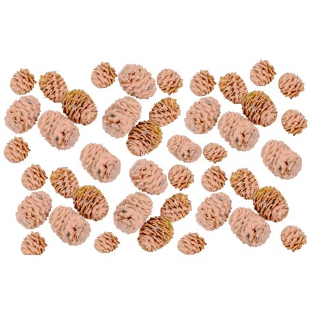 Meridianum termés - Barack - 16 dkg/csomag