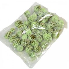 Meridianum termés - Világoszöld - 16 dkg/csomag