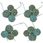 Ámbrafa termés - kínai falfestékes türkiz - 14 dkg/csomag