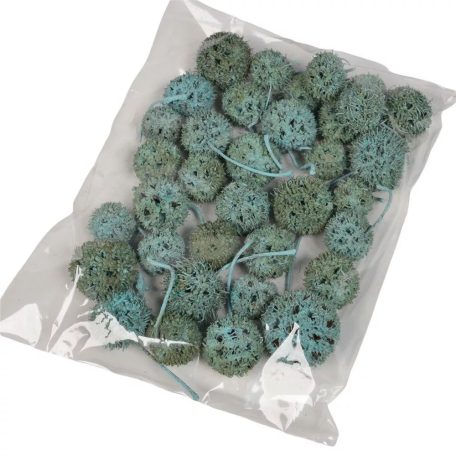 Ámbrafa termés - kínai falfestékes türkiz - 14 dkg/csomag