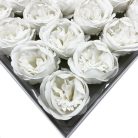 Szappanvirág - Peonia - Fehér - 6,8x6,8x4,4 cm - 16 db /doboz