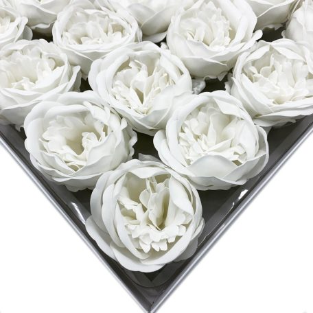 Szappanvirág - Peonia - Fehér - 6,8x6,8x4,4 cm - 16 db /doboz