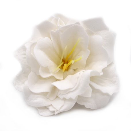 Szappanvirág - Peonia - Fehér - 5x6,5 cm