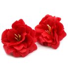 Szappanvirág - Peonia - Piros - 5x6,5 cm