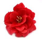 Szappanvirág - Peonia - Piros - 5x6,5 cm