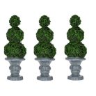 Tündérkert díszfa kaspóban - 3,1x2,8x8,6 cm - Raktáron