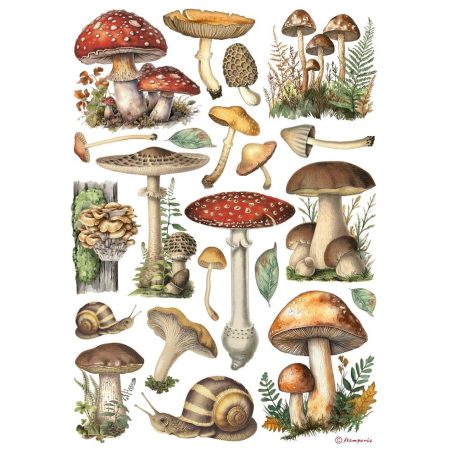 Stamperia rizspapir - A4 - Mushrooms - DFSA-41000