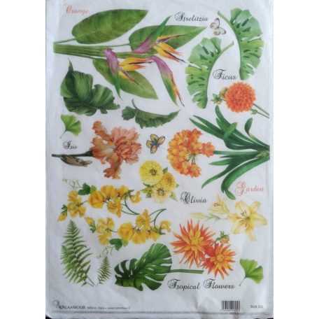 Calambour rizspapír - A3 - 35x50 cm - DGR-313 - Raktáron