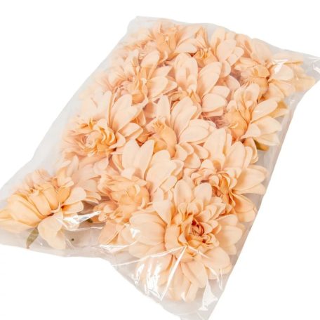 Dália virágfej - Barack - 10cm - 12 db/csomag