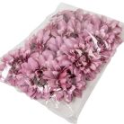 Dália virágfej - Lila - 10 cm - 12 db/csomag