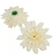 Dália fejvirág - Krém - 14 cm - 12 db/csomag