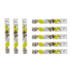   Tojás szett hengerben - Fehér-barna-sárga - 6 cm - 6 db/csomag