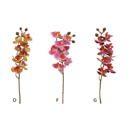Szálas orchidea- 3 féle - 75 cm