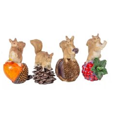 Mókus termésen - 4 féle - 7 cm