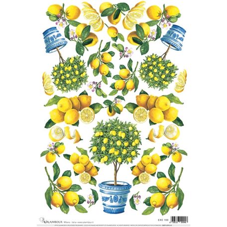 Calambour rizspapír - A3 - EXCR-166 - Raktáron