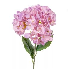 Hortenzia szálas mix - 58 cm