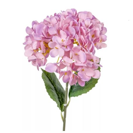 Hortenzia szálas mix - 58 cm