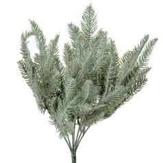 Fenyő bokor hamvas - 6 ágú - 44 cm