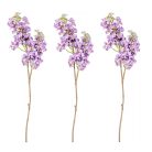 Orgona ág gumi  - 66 cm