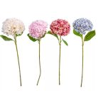 Hortenzia szálas mix - 65 cm