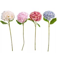 Hortenzia szálas mix - 65 cm