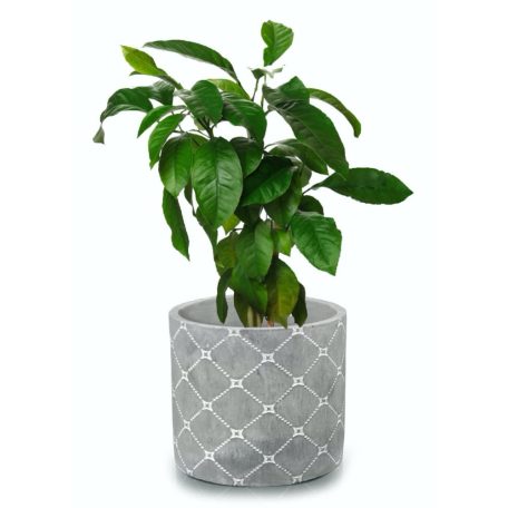 Beton kaspó Etno - 14x13 cm