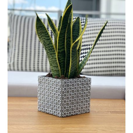 Beton kaspó Etno 3 - 14x13 cm 