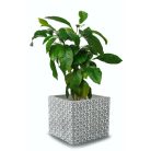 Beton kaspó Etno 3 - 14x13 cm 