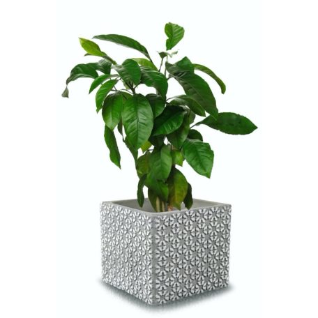 Beton kaspó Etno 3 - 14x13 cm 