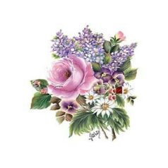 Cadence transzfer fólia - 17x25 cm - G-23