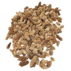  Birch pine termés - Fehérített - 9 dkg/csomag