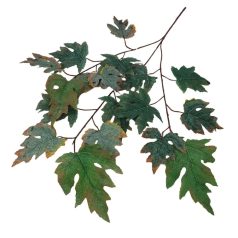 Levél ág 31 - Zöld - 70 cm 