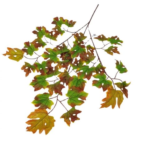 Levél ág 10 - 70 cm 