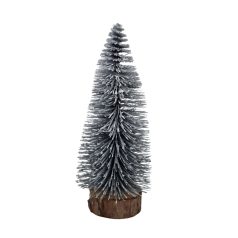 Talpas fenyőfa - Hamvas - 15 cm