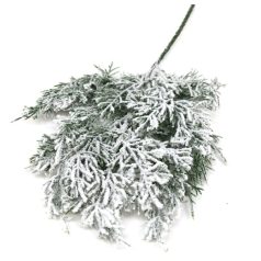  Havas tuja ág - Kicsi - 33 cm 