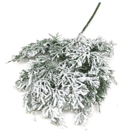  Havas tuja ág - Kicsi - 33 cm 